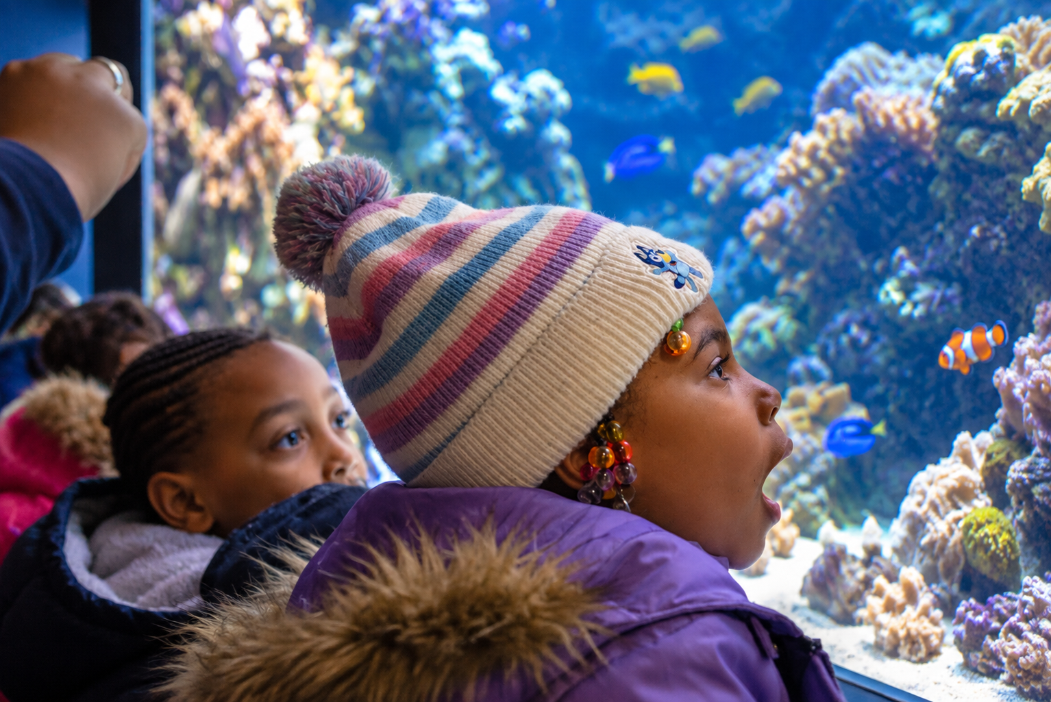 Children learning during a field trip